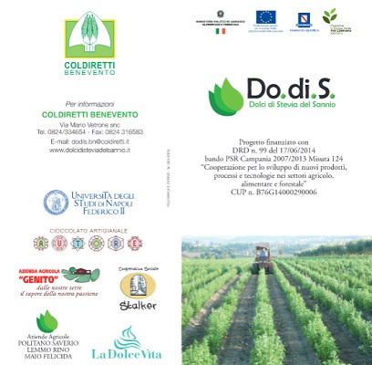 “Progetto Do.di.S – Dolci di Stevia del Sannio”, martedì 30 giugno un workshop a San Giorgio del Sannio