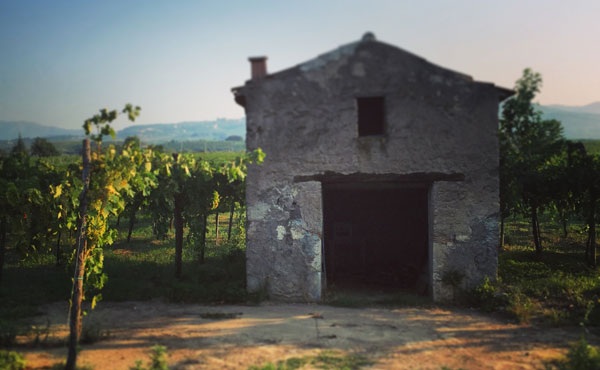 Paesaggio Rurale: una mostra fotografica per celebrare la bellezza del Sannio Beneventano.