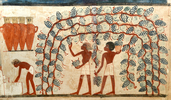 “La natura nell’antico Egitto …” conoscere l’Egitto giocando