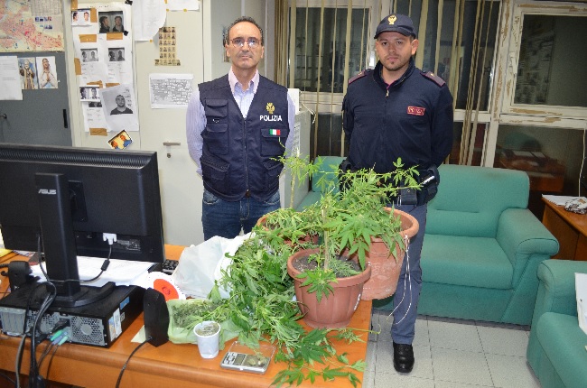 Benevento. Coltivava marijuana in casa: pusher denunciato dalla Polizia