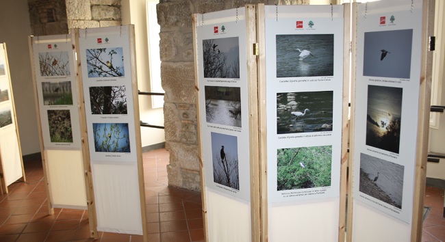 Rocca dei Rettori: aperta fino al 9 luglio la mostra fotografica “Fauna, flora e paesaggi dell’Oasi di protezione Zone Umide Beneventane”