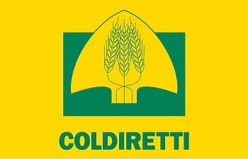 Elezioni Sannio Alifano, Coldiretti: corto circuito ricorso contro se stessi. I candidati del vicepresidente contestano le sue scelte “arbitrarie”