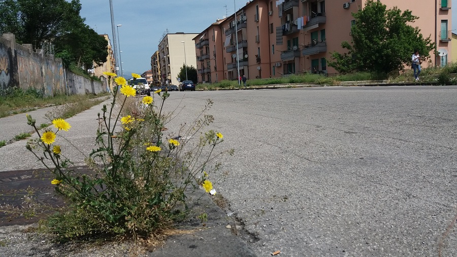Gesesa: giovedì a Benevento interruzione idrica in via Cavour per lavori di manutenzione straordinaria