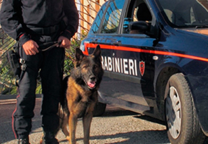 Piazze di spaccio nel Sannio e in città, operazione dei Carabinieri:  agli arresti sei persone.