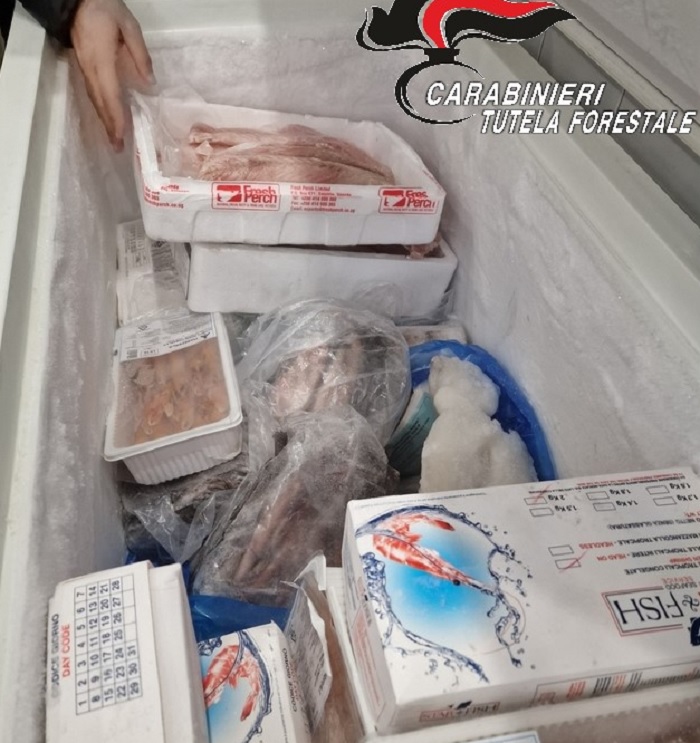 Tracciabilità prodotti ittici, controlli dei carabinieri presso pescherie e mercati rionali di Telese Terme