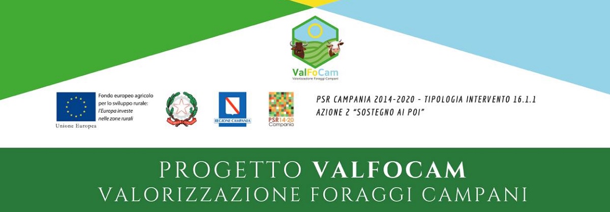 Martedì alla Reggia di Portici la presentazione dei progetti ValFoCam e Spiralbuf finanziati dal PSR Campania