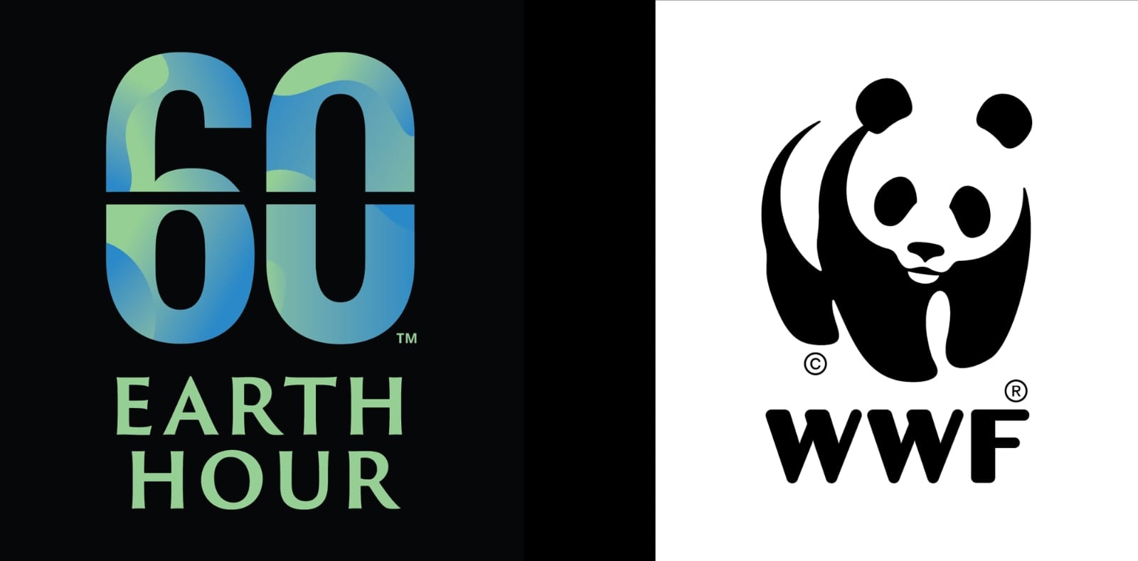 Il Comune aderisce all’iniziativa del WWF “Earth Hour – L’Ora della Terra”